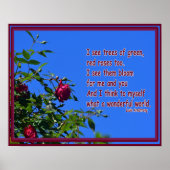Rode roos met een citaat van Louie Armstrong Poster (Voorkant)
