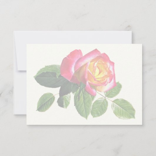 Rode roos met goudgeel centrum RSVP kaartje (Achterkant)