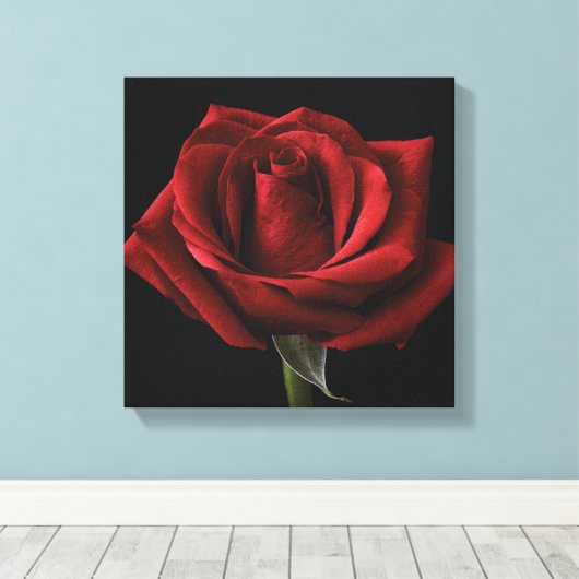 Rode roos met kussen canvas afdruk (Insitu (Houten vloer))