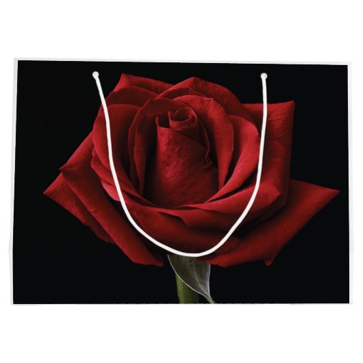 Rode roos met kussen groot cadeauzakje (Achterkant)