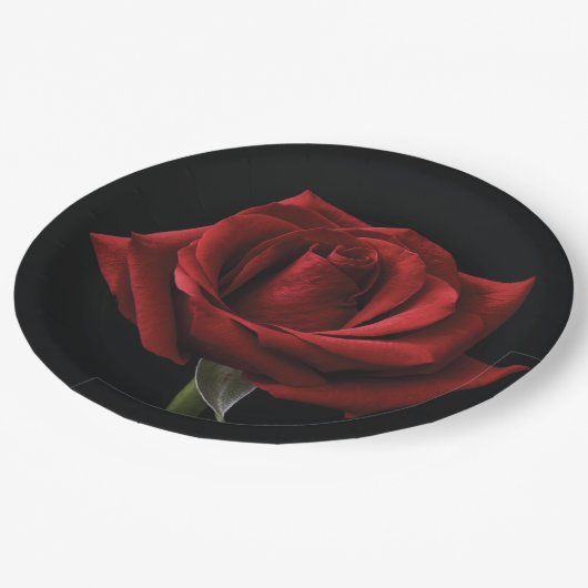Rode roos met kussen papieren bordje (Gekanteld)