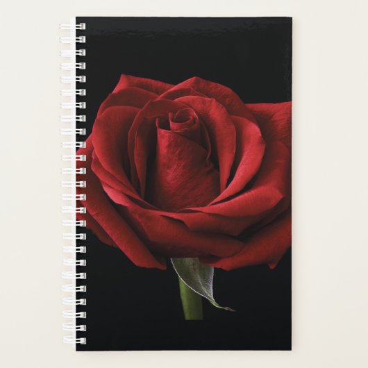 Rode roos met kussen planner (Voorkant)