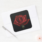 Rode roos met kussen vierkante sticker (Envelop)