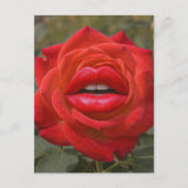 Rode Roos met Lippen Collage Briefkaart (Voorkant)