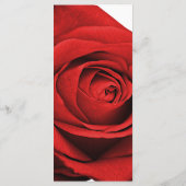 Rode Roos Moderne Glam Elegante Trouwmenu Menu (Achterkant)