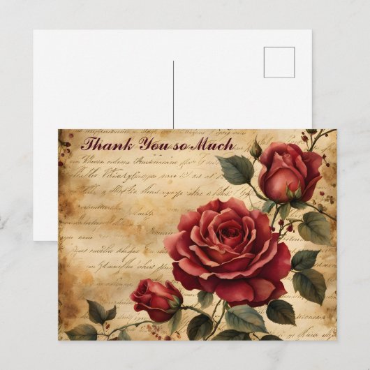Rode roos op oud perkament Dank u Briefkaart (Voorkant / Achterkant)