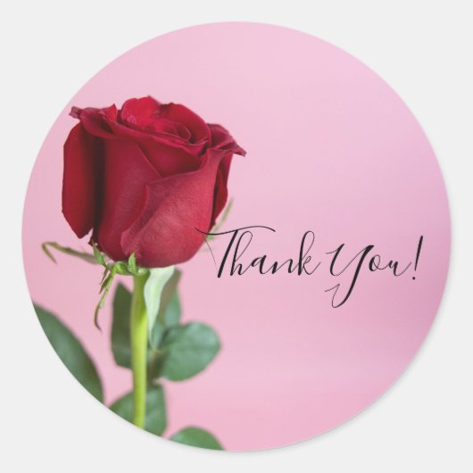 Rode Roos op Roze Elegant Romantisch Ronde Sticker (Voorkant)
