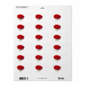 Rode Roos op Wit - Gepersonaliseerd Rozen Sjabloon Etiket (Full Sheet)