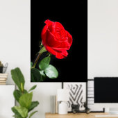 Rode roos op zwart poster (Thuiskantoor)