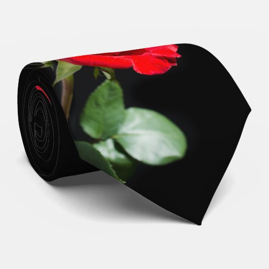 Rode roos op zwart stropdas (Opgerold)