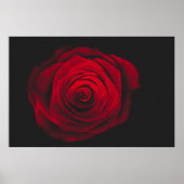 Rode roos op zwarte achtergrond vintage-effect poster (Voorkant)