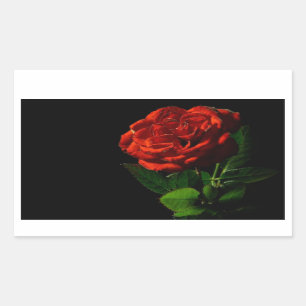 Rode Roos op Zwarte Bloemen Rechthoekige Sticker