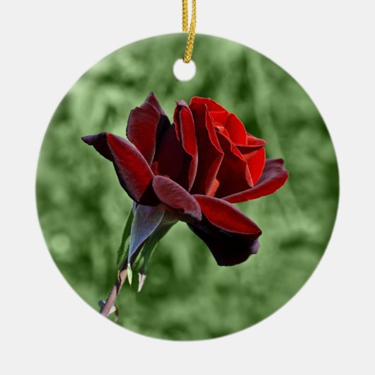 Rode Roos Ornament (Voorkant)