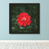 Rode Roos P6568 Canvas Afdruk (Insitu (Houten vloer))