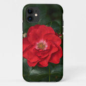 Rode Roos P6568 Case-Mate iPhone Case (Achterkant)