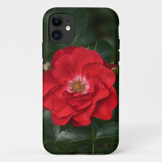 Rode Roos P6568 Case-Mate iPhone Case (Achterkant)