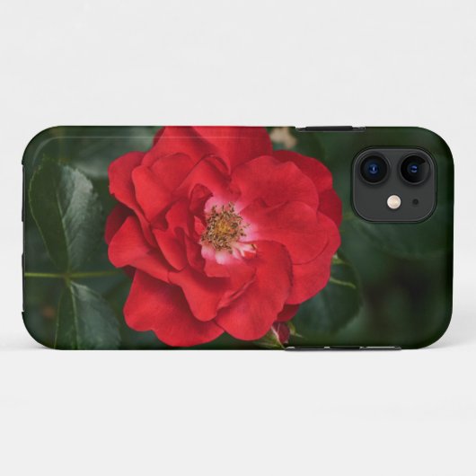 Rode Roos P6568 Case-Mate iPhone Case (Achterkant (horizontaal))
