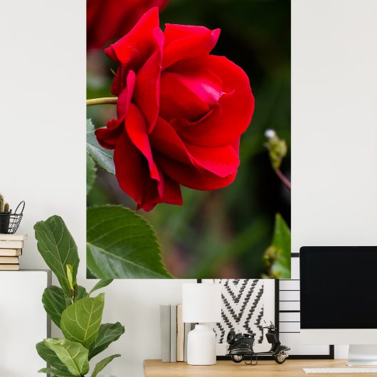 Rode roos poster (Thuiskantoor)