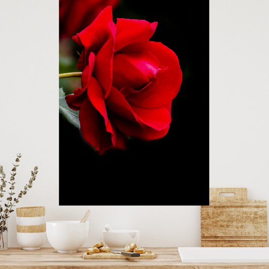 Rode roos poster (Keuken)
