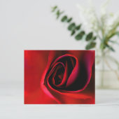 Rode Roos Print Ansichtkaart Feestdagenkaart (Staand voorkant)