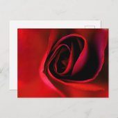 Rode Roos Print Ansichtkaart Feestdagenkaart (Voorkant / Achterkant)