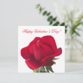 Rode roos - Red rose Feestdagenkaart (Staand voorkant)