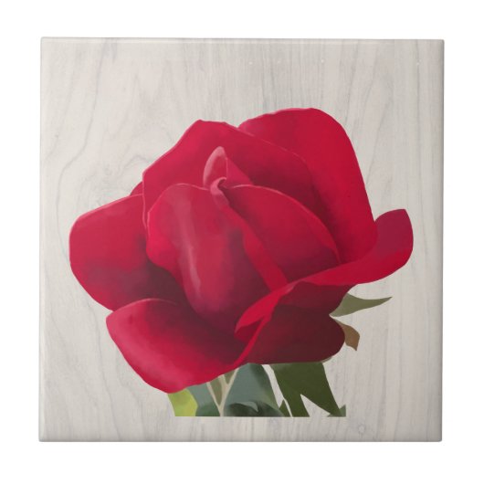 Rode roos - Red rose Tegeltje (Voorkant)