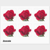 Rode roos - Red rose Vierkante Sticker (Vel)