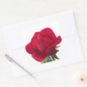 Rode roos - Red rose Vierkante Sticker (Envelop)