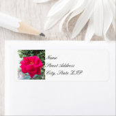 Rode roos retour adreslabels etiket (Insitu)