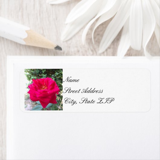 Rode roos retour adreslabels etiket (Insitu)