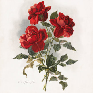Rode Roos, Romantische Rozen. Tote Bag