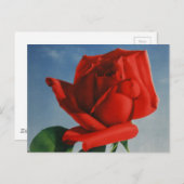  Rode Roos Roos Roos ZZwitserland Briefkaart (Voorkant / Achterkant)