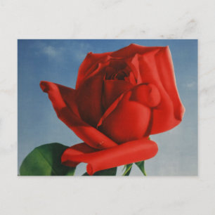 Rode Roos Roos Roos ZZwitserland Briefkaart