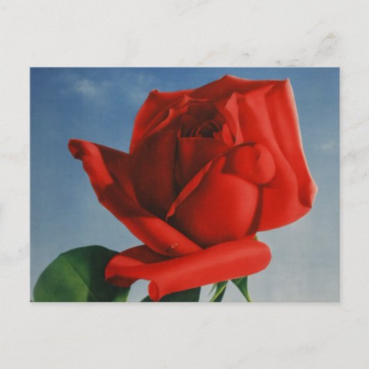  Rode Roos Roos Roos ZZwitserland Briefkaart (Voorkant)