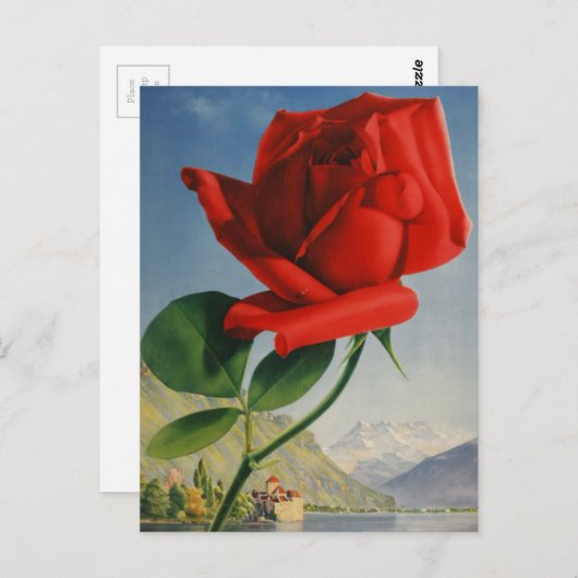  Rode Roos Roos Roos ZZwitserland Briefkaart (Voorkant / Achterkant)