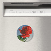 Rode Roos Roos Roos ZZwitserland Magneet (Insitu (Vaatwasser))