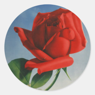 Rode Roos Roos Roos ZZwitserland Ronde Sticker