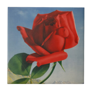 Rode Roos Roos Roos ZZwitserland Tegeltje