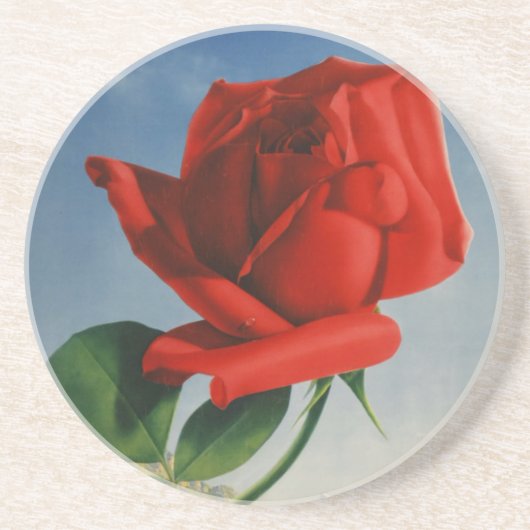  Rode Roos Roos Roos ZZwitserland Zandsteen Onderzetter (Voorkant)