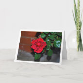 Rode Roos 's Nachts Portret Kaart (Voorkant)