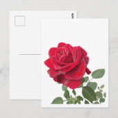 Rode roos schilderij briefkaart (Voorkant / Achterkant)