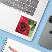 Rode Roos Sticker (Laptop met iPhone)