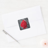 Rode Roos Sticker (Envelop)