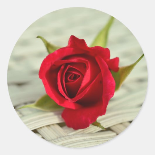Rode Roos Sticker Enveloppen Zegels (Voorkant)