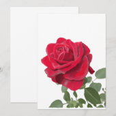 Rode roos - symbool van liefde kaart (Voorkant / Achterkant)