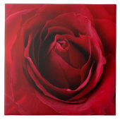 rode roos tegeltje (Voorkant)