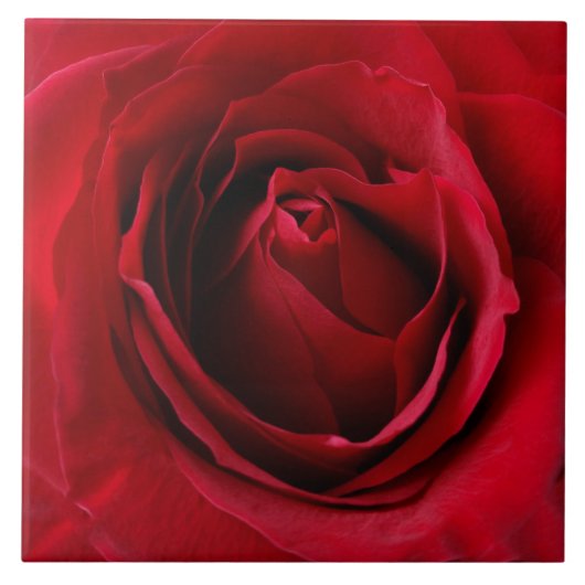 rode roos tegeltje (Voorkant)