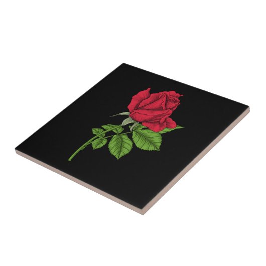 Rode roos tegeltje (Zijkant)