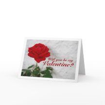 Rode Roos tegen Witte Muur